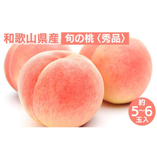 和歌山県産 旬 の 桃 5～6玉入り 秀品 ※2025年6月下旬～8月上旬頃に順次発送予定 ※離島への配送不可 2043425 - 和歌山県美浜町