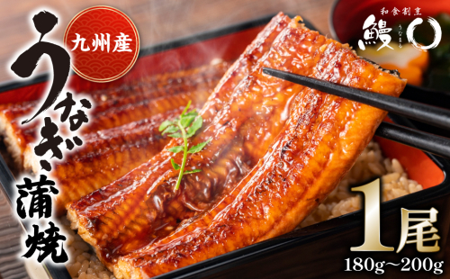 鰻丸(うなまる) 九州産 鰻 蒲焼き 1尾 うなぎ ウナギ 2043915 - 熊本県八代市