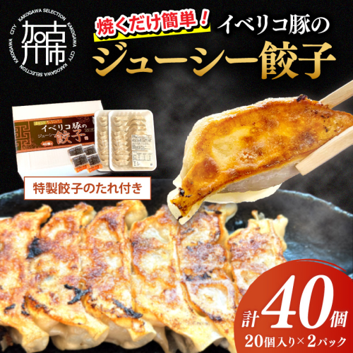 大西食品「イベリコ豚のジューシー餃子」《 ギョーザ 焼くだけ 簡単 イベリコ豚 ベジョータ 兵庫県 加古川市 》【2401I15301】 2044439 - 兵庫県加古川市