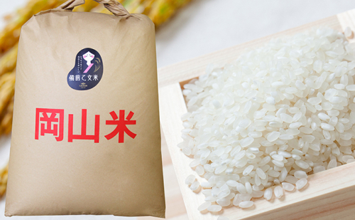 米 令和7年産 石原果樹園の備前乙女米 白米 30kg×1袋 ※11月上旬～順次発送予定 お米 精米 白米 ライス  乳酸菌栽培 岡山県 おにぎり お弁当 2045358 - 岡山県玉野市