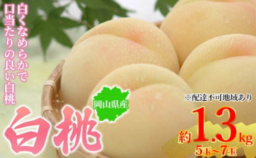 桃 2025年先行予約 岡山県産 白桃 約1.3kg 5～7玉 お届け 7月上旬～7月下旬 2045360 - 岡山県玉野市