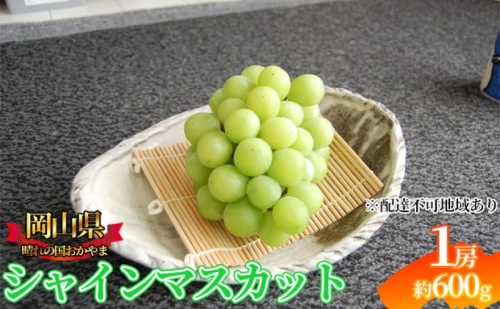 ぶどう 2025年先行予約 シャインマスカット 1房 約600g  岡山県産 お届け 9月上旬～10月中旬 2045364 - 岡山県玉野市