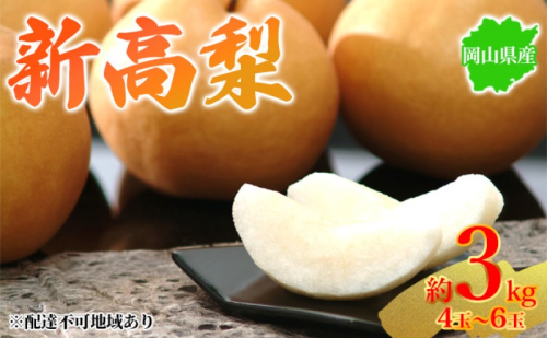 梨 2025年先行予約 岡山県産 新高梨 約3kg 4～6玉 お届け 10月中旬～11月中旬 2045366 - 岡山県玉野市