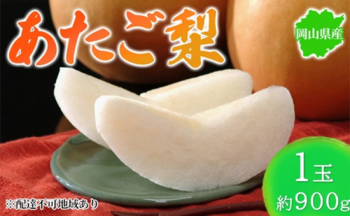 梨 2025年先行予約 岡山県産 あたご梨 約900g 1玉 お届け11月下旬～12月中旬 2045369 - 岡山県玉野市