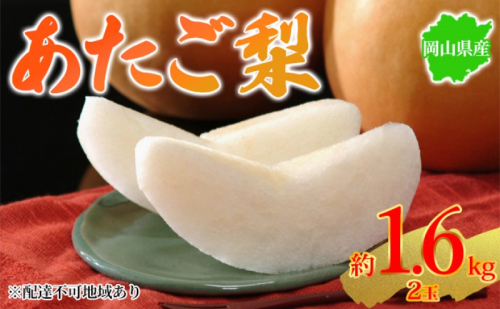 梨 2025年先行予約 岡山県産 あたご梨 約1.6kg 2玉 お届け 11月下旬～12月中旬 2045370 - 岡山県玉野市