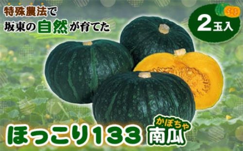 No.842 特殊農法で坂東の自然が育てた「ほっこり133南瓜」2玉入 / かぼちゃ カボチャ ホクホク 甘味 品質 糖度 野菜 茨城県 特産品 2045389 - 茨城県坂東市