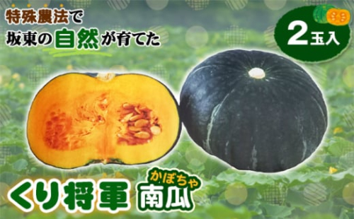 No.843 特殊農法で坂東の自然が育てた「くり将軍南瓜」2玉入 / かぼちゃ カボチャ 食味 品質 糖度 野菜 ベジワングランプリ1等特別賞受賞 茨城県 特産品 2045390 - 茨城県坂東市