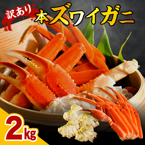 訳アリ本ズワイガニ（2kg）【er018-048-b】 2045429 - 北海道えりも町