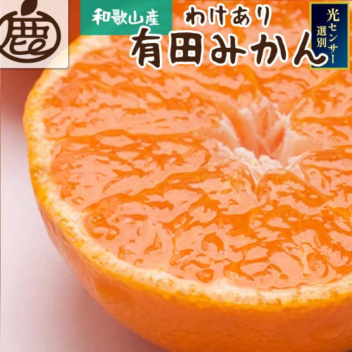 家庭用 熟成みかん10kg+250g（傷み補償分） 2045457 - 和歌山県有田川町
