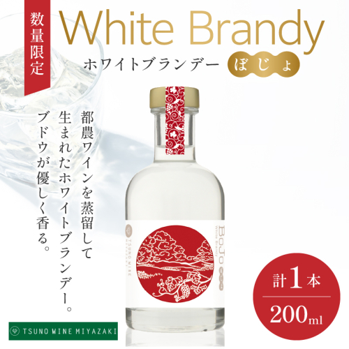 【数量限定】ホワイトブランデーBojo(計1本) 酒 飲料 アルコール 国産_T014-017 2045462 - 宮崎県都農町