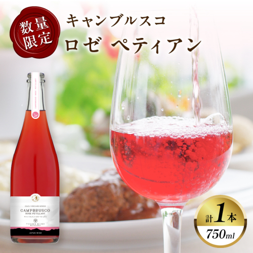 【数量限定】キャンブルスコ・ロゼ ペティアン (計1本) 酒 ワイン アルコール 国産_T014-019 2045465 - 宮崎県都農町