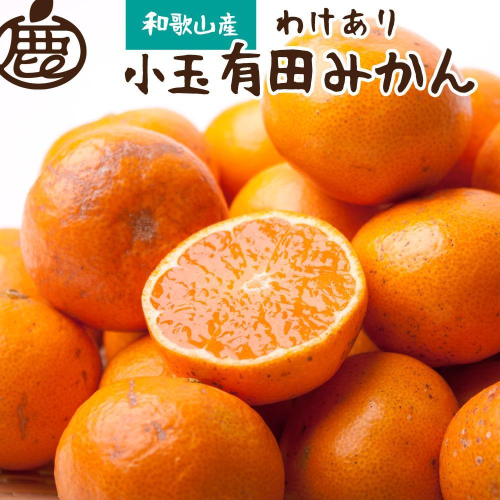家庭用 小玉 有田みかん10kg+250g（傷み補償分） 2045470 - 和歌山県有田川町