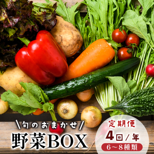 【4回定期便】 京都 舞鶴 季節の野菜BOX 詰め合せ セット 6～8種類 年4回 定期便 ： 季節の野菜 旬の野菜 旬野菜 新鮮 京野菜 食品 冷蔵 八百屋 厳選 産地直送 やさい ベジタブル ボックス 野菜セット 2045471 - 京都府舞鶴市
