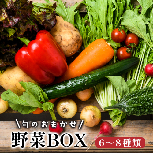 京都 舞鶴 季節の野菜BOX 詰め合せ セット 6～8種類 ： 季節の野菜 旬の野菜 旬野菜 新鮮 京野菜 食品 冷蔵 八百屋 厳選 産地直送 やさい ベジタブル ボックス 野菜セット 2045472 - 京都府舞鶴市