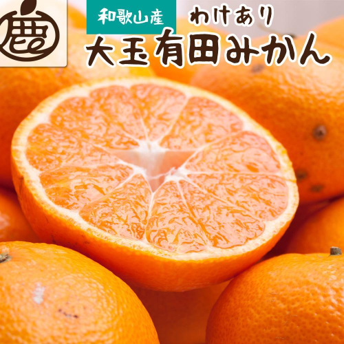 家庭用 大玉 有田みかん7.5kg+250g（傷み補償分） 2045473 - 和歌山県有田川町