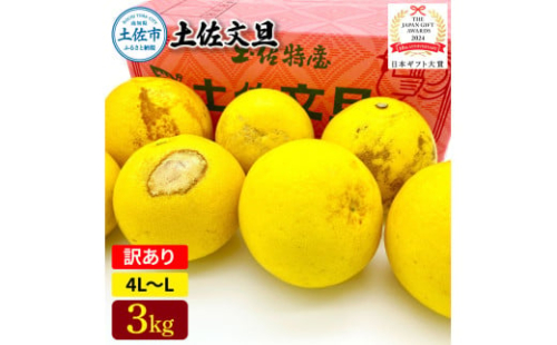 日本ギフト大賞受賞 園主こだわり土佐文旦 訳あり(4L～L）3kg 3キロ 文旦 土佐文旦 ワケアリ ぶんたん ぼんたん フルーツ 果物 柑橘 みかん 蜜柑 家庭用 自宅用 高知 土佐 国産 常温 2045502 - 高知県土佐市