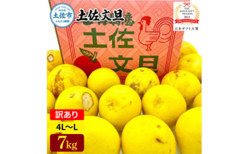 日本ギフト大賞受賞 園主こだわり土佐文旦 訳あり(4L～L）7kg 7キロ 文旦 土佐文旦 ワケアリ ぶんたん ぼんたん フルーツ 果物 柑橘 みかん 蜜柑 家庭用 自宅用 高知 土佐 国産 常温 2045504 - 高知県土佐市