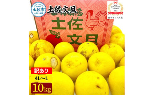 日本ギフト大賞受賞 園主こだわり土佐文旦 訳あり(4L～L）10kg 10キロ 文旦 土佐文旦 ワケアリ ぶんたん ぼんたん フルーツ 果物 柑橘 みかん 蜜柑 家庭用 自宅用 高知 土佐 国産 常温 2045505 - 高知県土佐市