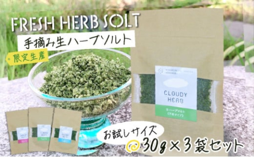 限定生産！手摘み生ハーブソルト お試しパックセット 2045519 - 北海道登別市