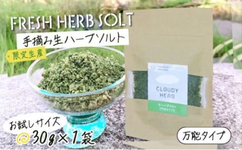 限定生産！手摘み生ハーブソルト お試しパック 万能タイプ（30g×1袋） 2045520 - 北海道登別市