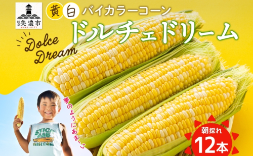 とうもろこし ドルチェドリーム 300g以上×12本 約3.6kg コーン もろこし バイカラー 白 黄 低農薬 高糖度 18度 甘い ジューシー 野菜 おやつ 旬 産地直送 送料無料 美濃グリーン 岐阜県 美濃市 2047423 - 岐阜県美濃市