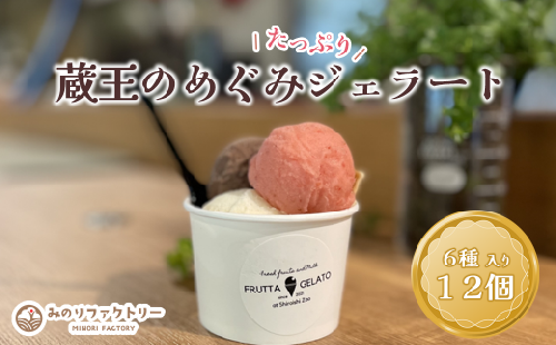 蔵王のめぐみたっぷりジェラート １２個　ジェラート フルーツ デザート 贈り物 蔵王【04301-0503】 2047766 - 宮城県蔵王町