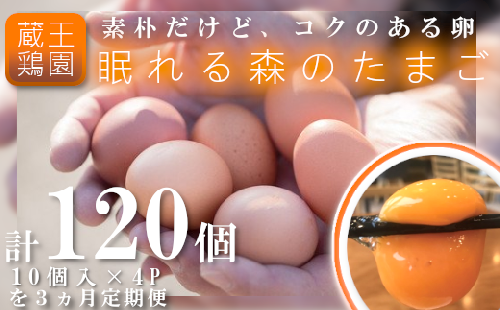 【3か月連続お届け】眠れる森のたまご 朝採れ卵40個 たまご タマゴ 卵 鶏卵 濃厚 こだわり 新鮮 定期便【04301-0325】 2048042 - 宮城県蔵王町