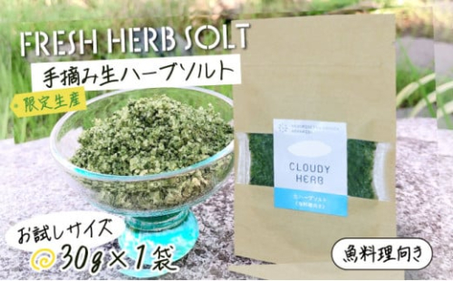 限定生産！手摘み生ハーブソルト お試しパック 魚料理向き（30g×1袋） 2048132 - 北海道登別市