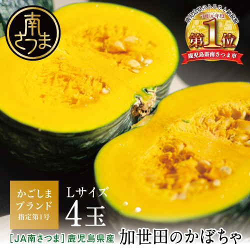 ◆5月出荷開始◆【かごしまブランド】加世田のかぼちゃ 4個 ［春出荷］ 野菜 カボチャ 常温 鹿児島県産 JA 南さつま市 2048497 - 鹿児島県南さつま市