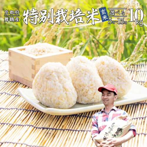 【令和7年度産 新米 先行予約】 棚田米 玄米 10kg コシヒカリ 特別栽培米 京都産 農家直送 こしひかり 減農薬 低農薬 げんまい お米 ご飯 米 棚田 健康 2048611 - 京都府舞鶴市