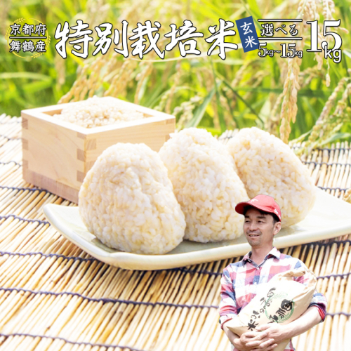 【令和7年度産 新米 先行予約】 棚田米 玄米 15kg コシヒカリ 特別栽培米 京都産 農家直送 こしひかり 減農薬 低農薬 げんまい お米 ご飯 米 棚田 健康 2048612 - 京都府舞鶴市