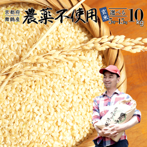 【令和7年度産 新米 先行予約】 棚田米 玄米 10kg 栽培期間中農薬不使用 コシヒカリ こしひかり お米 健康 おにぎり お弁当 京都 舞鶴 農家直送 2048613 - 京都府舞鶴市