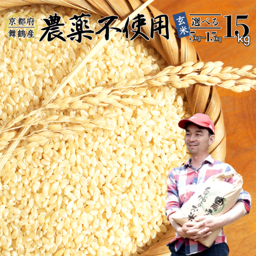 【令和7年度産 新米 先行予約】 棚田米 玄米 15kg 栽培期間中農薬不使用 コシヒカリ こしひかり お米 健康 おにぎり お弁当 京都 舞鶴 農家直送 2048614 - 京都府舞鶴市