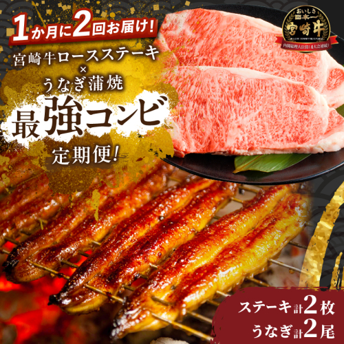 ≪定期便≫＼1か月に2回お届け!!／宮崎牛ロースステーキ×うなぎ蒲焼★最強コンビ 肉 牛肉 鰻 魚介 国産_T999-0022 2048641 - 宮崎県都農町