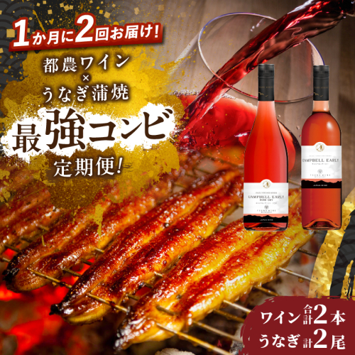≪定期便≫＼1か月に2回お届け!!／都農ワイン×うなぎ蒲焼★最強コンビ 酒 飲料 鰻 魚介 国産_T999-003 2048642 - 宮崎県都農町