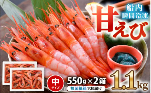 【母の日】 甘えび (中サイズ) 約1.1kg (550g×2箱) 天然・鮮度抜群！ 漁船直送！ 海の上で食べる味！「共栄丸」直送☆船内瞬間冷凍 【海老 えび エビ アマエビ あまえび 甘海老 殻付き 有頭 生食 刺身 冷凍 魚介類 魚貝類 産地直送 福井県産 国産 三国 人気】 【202504_母の日】グルメ [A-2386]