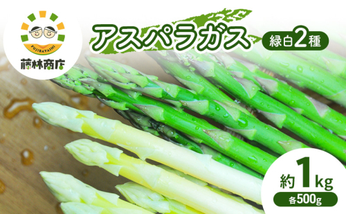 数量限定 グリーン アスパラ ホワイト アスパラ 約1kg アスパラガス 北海道 富良野 新鮮 野菜 2050605 - 北海道富良野市