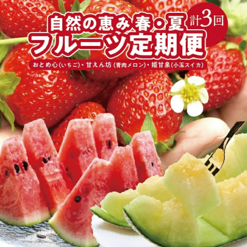 SE0394　【3回定期便】自然の恵み　春・夏フルーツ定期便2025(いちご、青肉メロン、小玉スイカ) 2050789 - 山形県酒田市