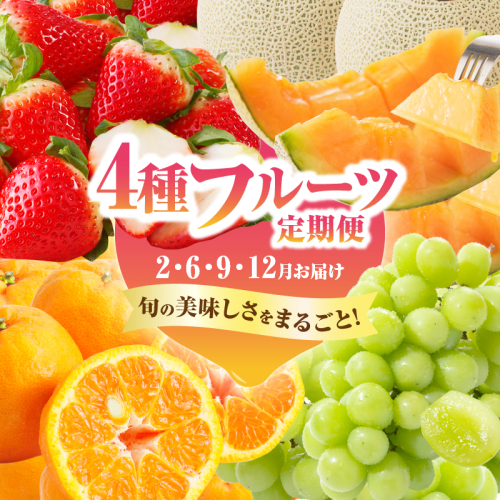 ≪定期便全4回≫2月・6月・9月・12月お届け!!４種フルーツ定期便★フルーツ 果物 デザート 国産_T015-009 2050877 - 宮崎県都農町