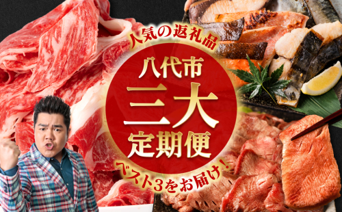 【3回定期便】八代三大人気定期便 2051048 - 熊本県八代市