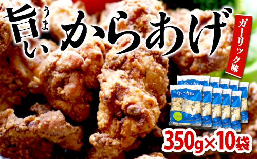 B2-2139/国産 から揚げ ガーリック味 10袋 2051178 - 鹿児島県垂水市