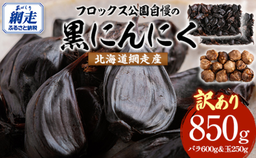 【先行予約】【訳あり】フロックス公園自慢の黒にんにく（2025年8月より発送予定） ABBJ001 2058772 - 北海道網走市