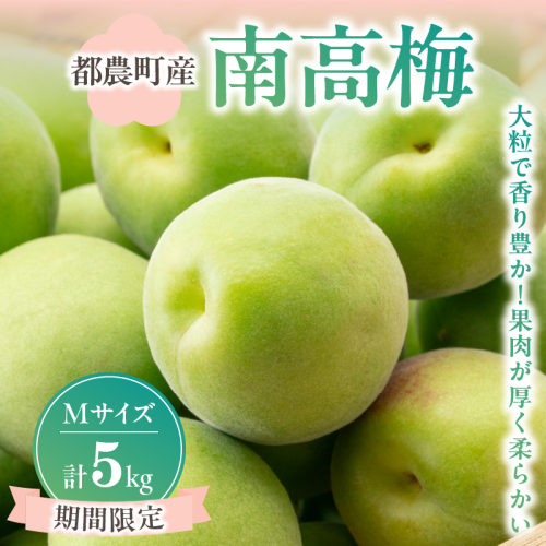 先行予約≪期間限定≫都農町産「南高梅(Mサイズ)」計5kg 梅 梅干し 果物 国産_T008-011 2058832 - 宮崎県都農町