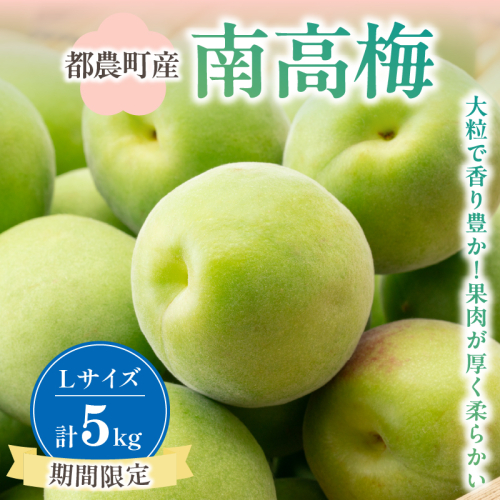 先行予約≪期間限定≫都農町産「南高梅(Lサイズ)」計5kg 梅 梅干し 果物 国産_T008-012 2058834 - 宮崎県都農町