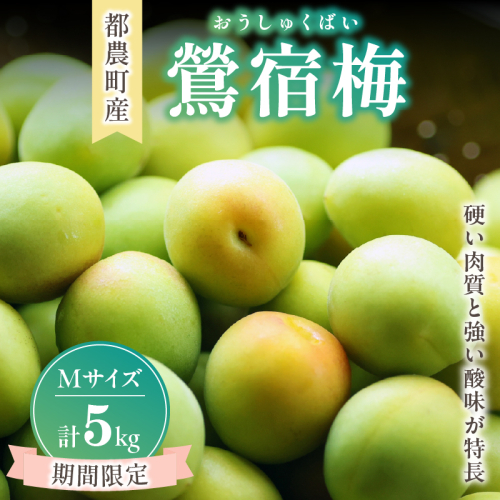 先行予約≪期間限定≫都農町産「鶯宿梅(Mサイズ)」計5kg 梅 梅干し 果物 国産_T008-013 2059008 - 宮崎県都農町