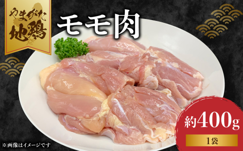 やまがた地鶏「モモ肉」 1袋 【060-006】 2059135 - 山形県大江町