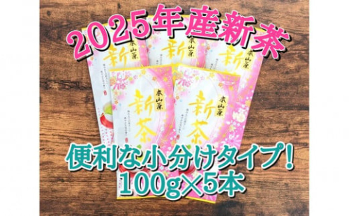 【2025年5月中旬より順次発送】 新茶 ほんやま茶 100g×5本 本山茶 オススメお茶 2059655 - 静岡県静岡市