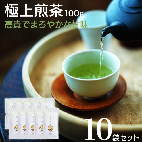 宮崎日本茶専門店 極上煎茶100g 10本セット お茶 緑茶 ギフト お取り寄せ【E232】 2059692 - 宮崎県新富町