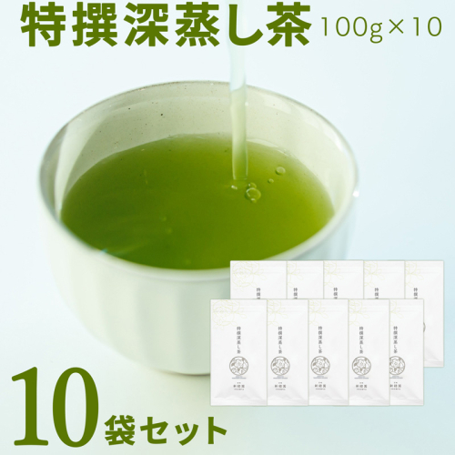 宮崎日本茶専門店 特撰深蒸し茶100g 10本セット お茶 緑茶 ギフト お取り寄せ【E231】 2059693 - 宮崎県新富町