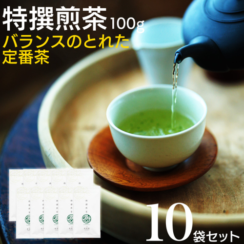 宮崎日本茶専門店 特撰煎茶100g 10本セット お茶 緑茶 ギフト お取り寄せ【E229】 2059694 - 宮崎県新富町